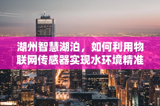 湖州智慧湖泊，如何利用物联网传感器实现水环境精准监测？